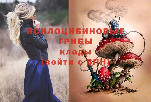 спиды Протвино