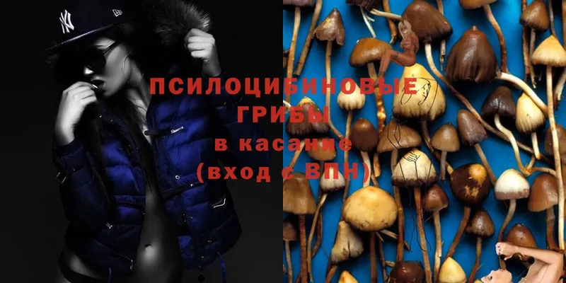 MEGA ссылки  Бабаево  Псилоцибиновые грибы MAGIC MUSHROOMS 